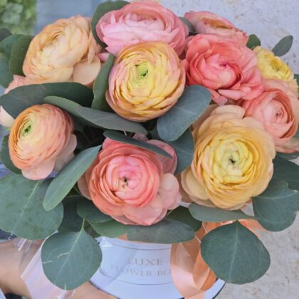 Peach ranunculus eucalyptus flower box featuring vibrant blossoms and eucalyptus foliage in a stylish round box.