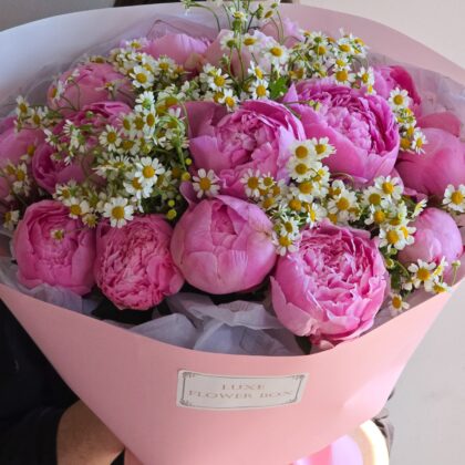 A delicate and romantic bouquet featuring lush peonies and cheerful chamomile flowers, creating a soft and charming arrangement perfect for adding a touch of elegance and whimsy to any occasion.