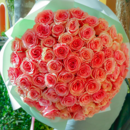 50 Roses choice of color