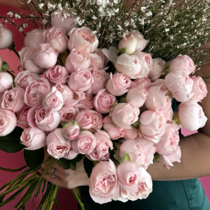 Princess Fairy Kiss Garden Spray Roses