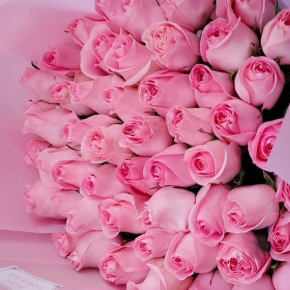 Pink Roses