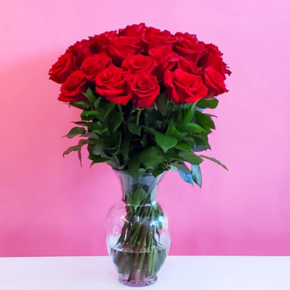Rose in Vase