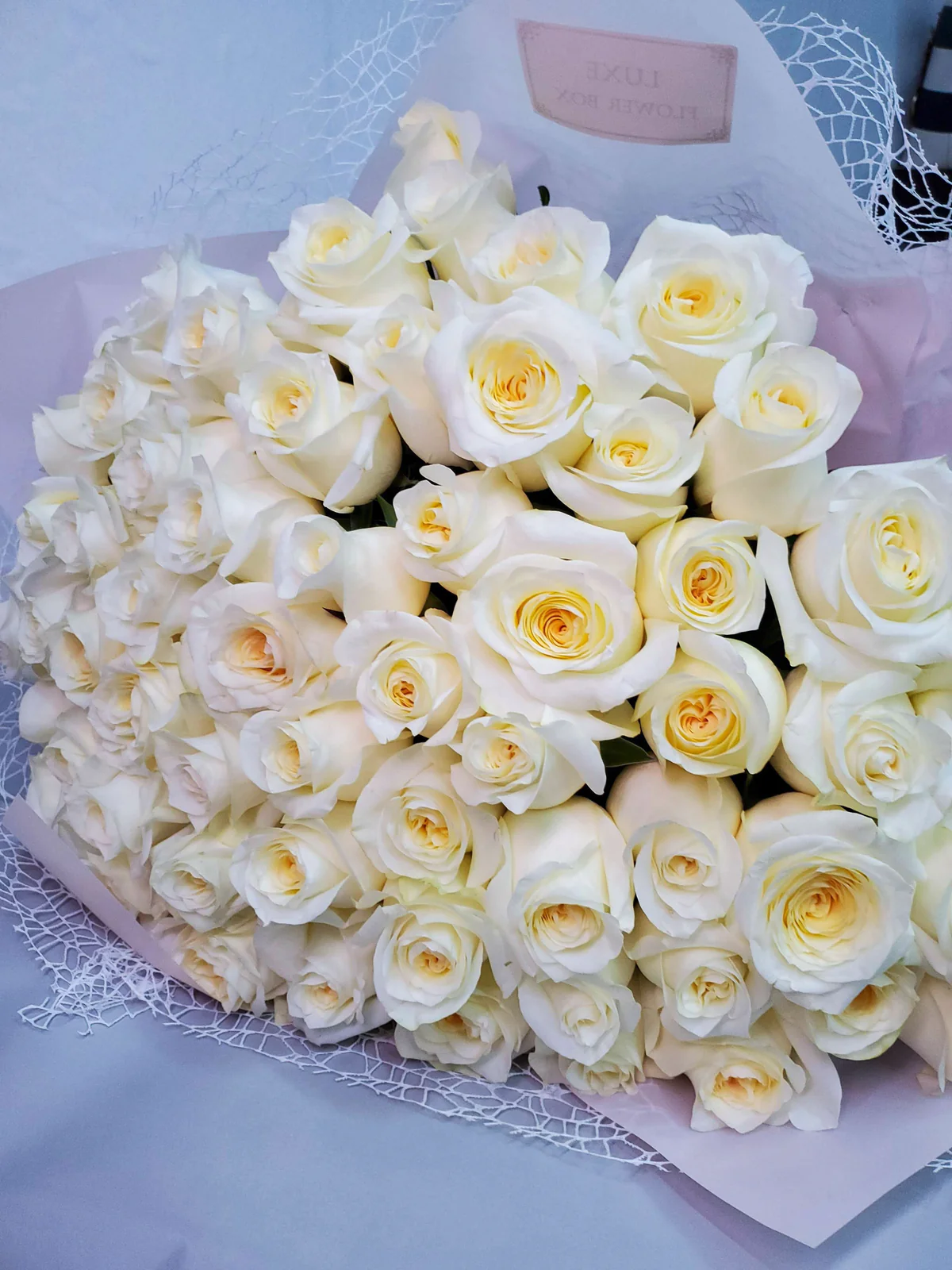 Candlelight Roses